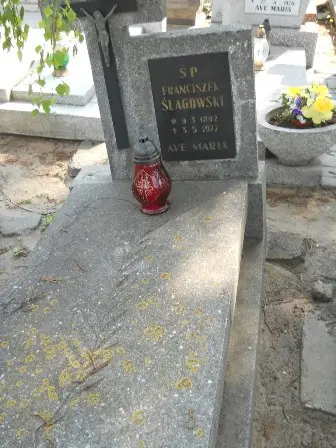 Zdjęcie grobu 42/100