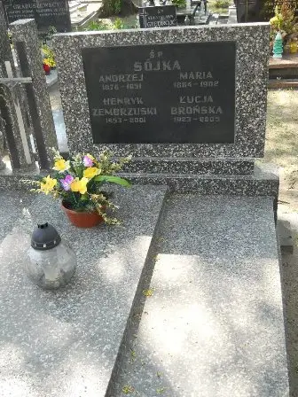 Zdjęcie grobu 11/100