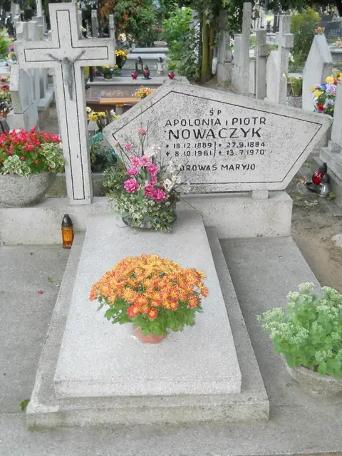 Zdjęcie grobu 18/29056