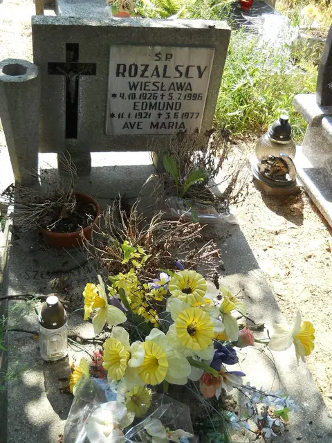Zdjęcie grobu 14/27389
