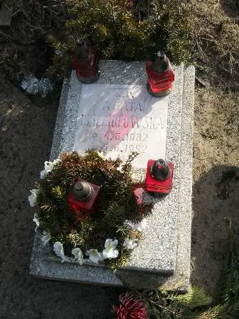 Zdjęcie grobu 6/686
