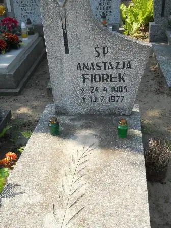 Zdjęcie grobu 14/100