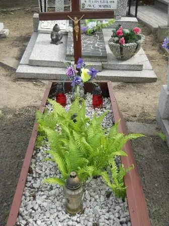 Zdjęcie grobu 9/100