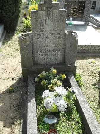 Zdjęcie grobu 28/359