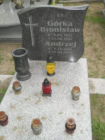 Zdjęcie grobu 22/100