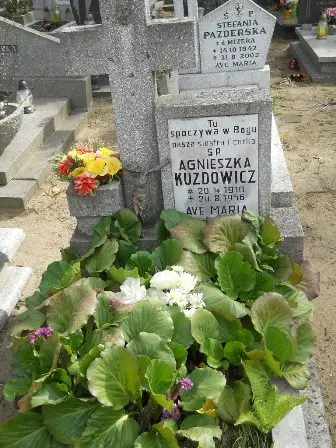 Zdjęcie grobu 27/100