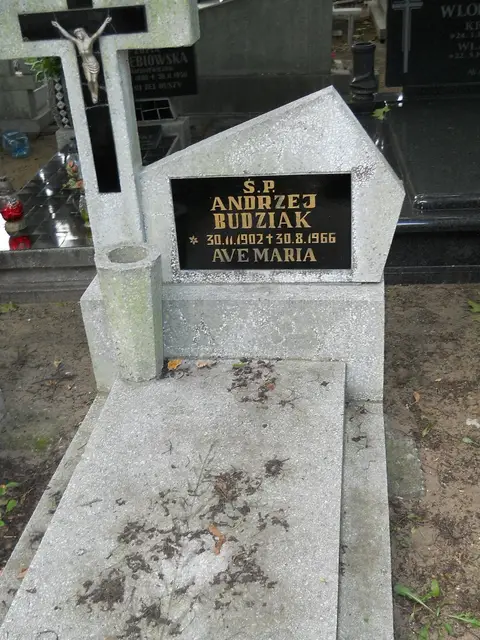 Zdjęcie grobu 12/29562
