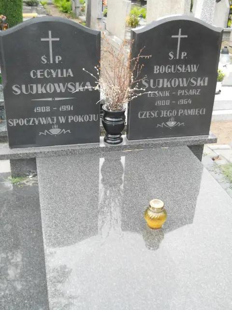 Zdjęcie grobu 7/11227