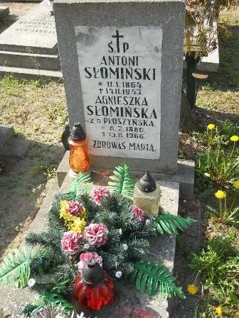 Zdjęcie grobu 20/147