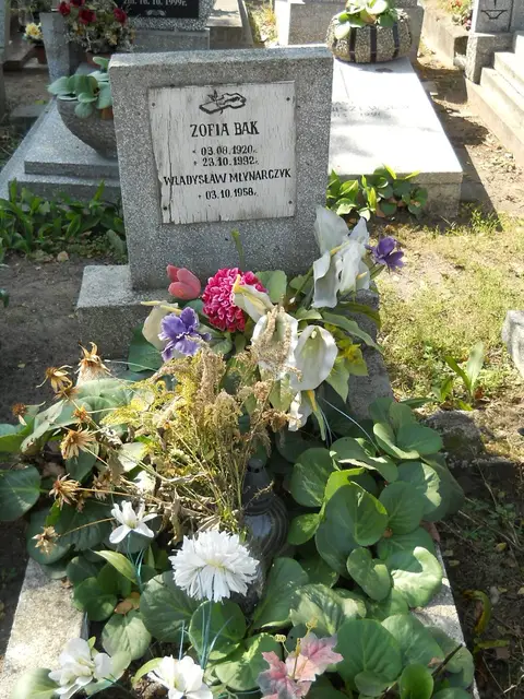Zdjęcie grobu 17/28136