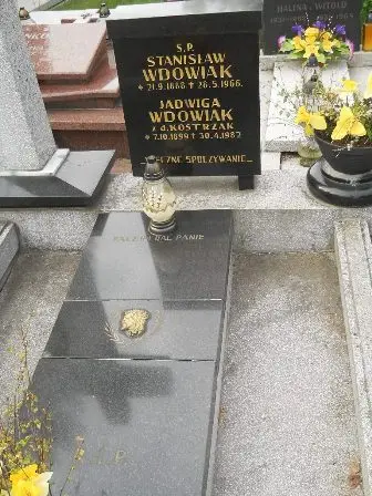 Zdjęcie grobu 34/36