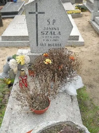 Zdjęcie grobu 43/352