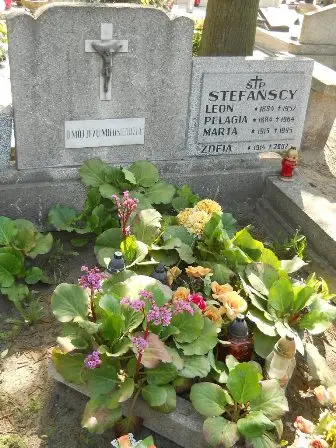 Zdjęcie grobu 28/100