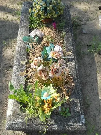 Zdjęcie grobu 24/100