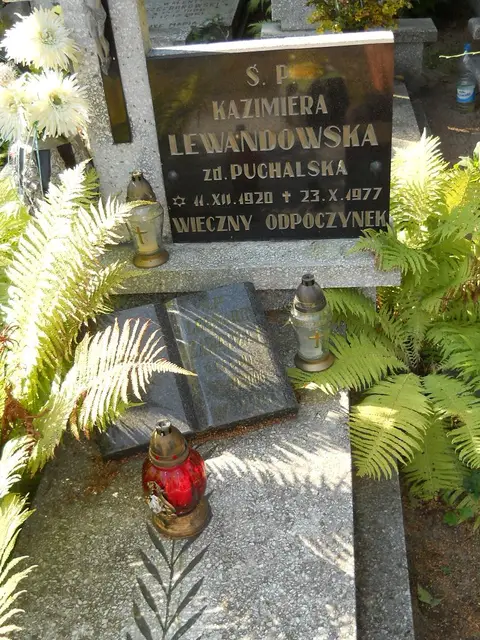 Zdjęcie grobu 17/28023
