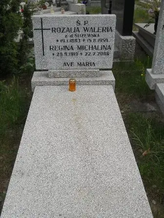Zdjęcie grobu 34/100