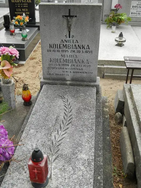 Zdjęcie grobu 9/24595