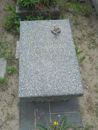 Zdjęcie grobu 21/665