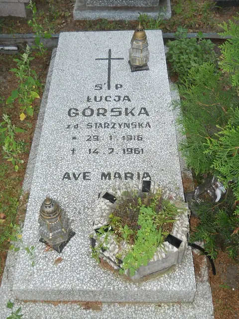Zdjęcie grobu 17/28039
