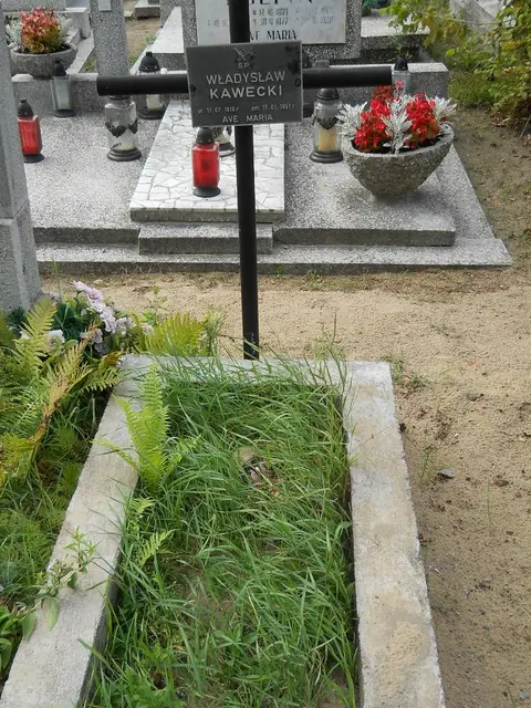 Zdjęcie grobu 11/29167