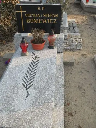 Zdjęcie grobu 4/100
