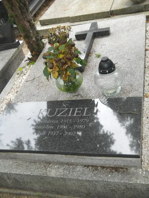 Zdjęcie grobu 12/29500