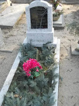 Zdjęcie grobu 2/100