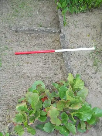 Zdjęcie grobu 34/100