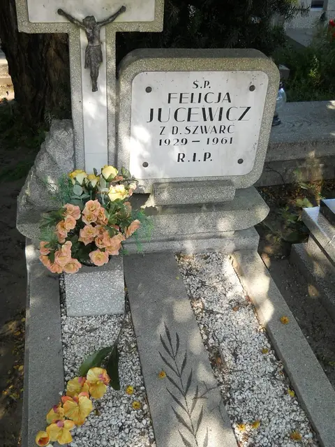 Zdjęcie grobu 5/24057