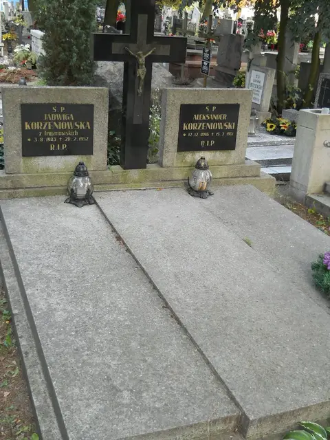 Zdjęcie grobu 14/28911