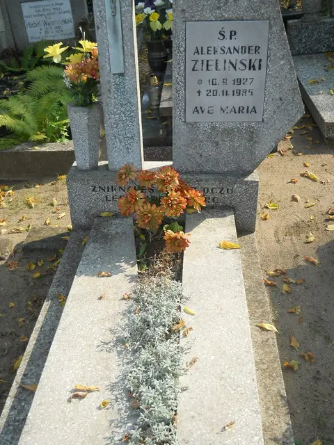 Zdjęcie grobu 15/26592