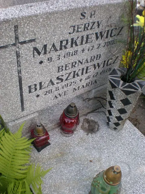 Zdjęcie grobu 8A/20230