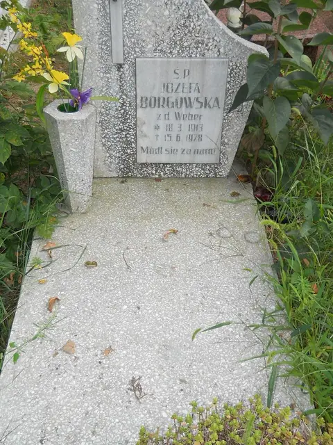Zdjęcie grobu 14/26878