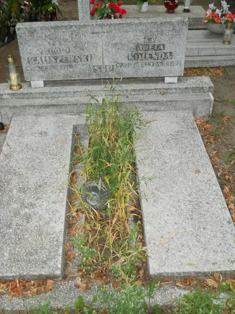 Zdjęcie grobu 14/26062