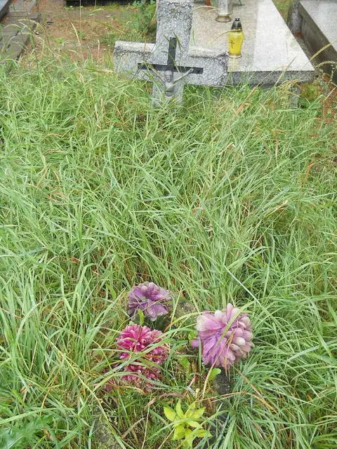 Zdjęcie grobu B/25373