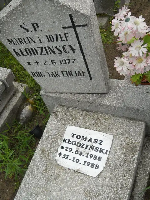 Zdjęcie grobu 21/23782