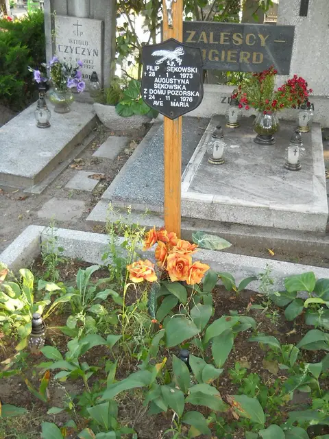 Zdjęcie grobu 14/27832