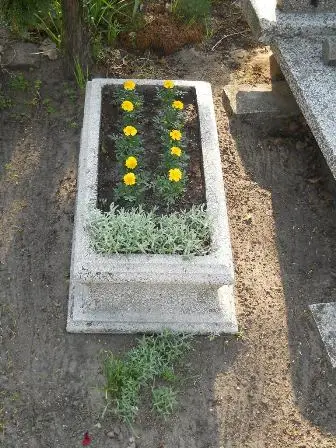 Zdjęcie grobu 7/100