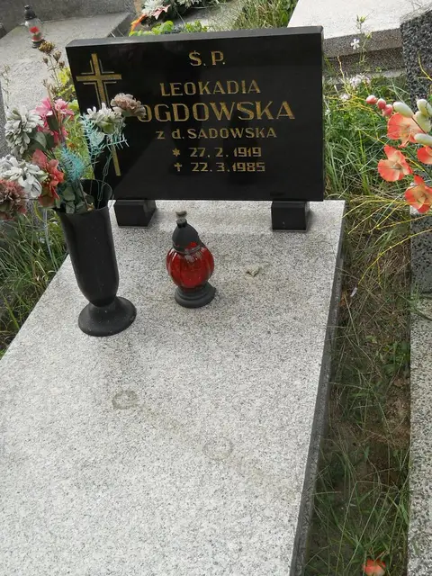 Zdjęcie grobu 11/29173