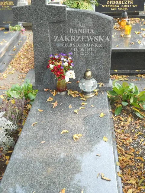 Zdjęcie grobu 15/26734