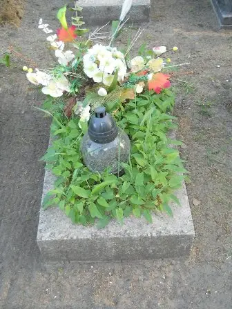 Zdjęcie grobu 7b/100