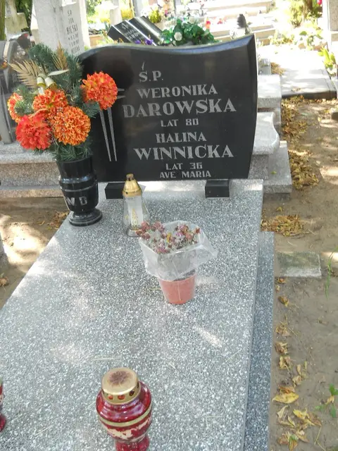 Zdjęcie grobu 17/28500