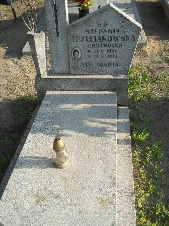 Zdjęcie grobu 45/100
