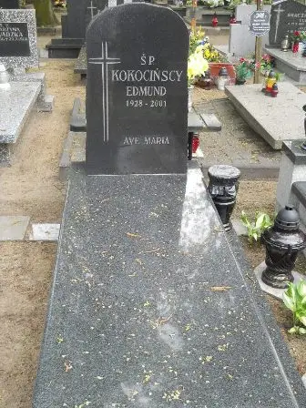 Zdjęcie grobu 33/242