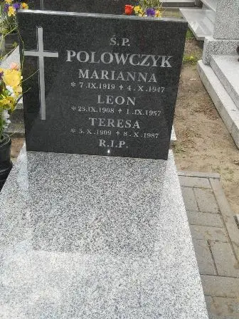 Zdjęcie grobu 43/100