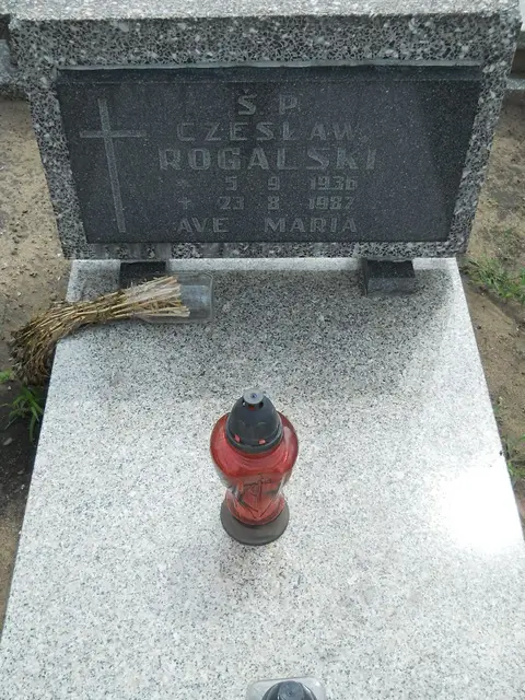 Zdjęcie grobu 26/22819