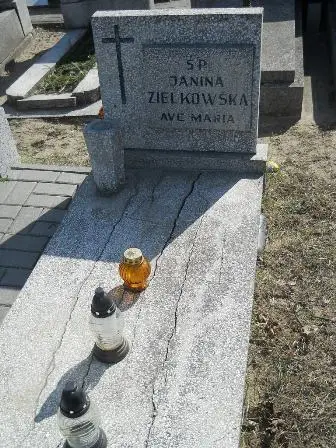 Zdjęcie grobu 3/101