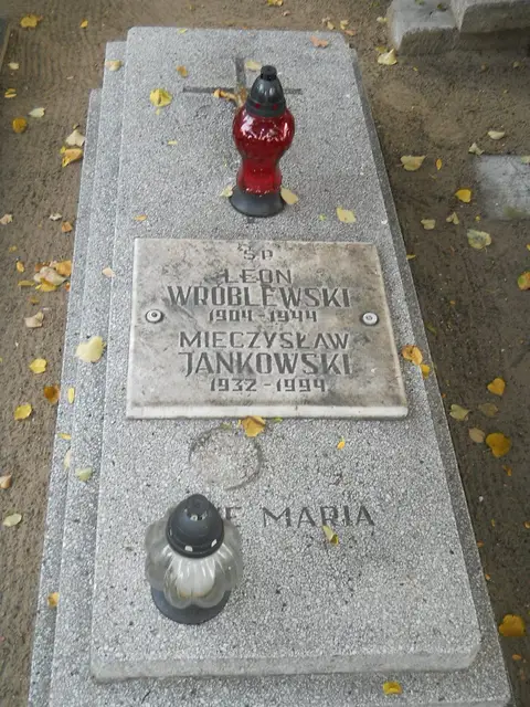 Zdjęcie grobu 14/26994