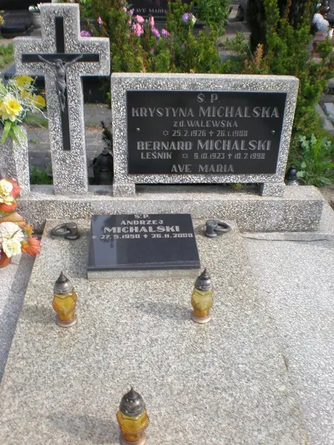 Zdjęcie grobu 8B/20118