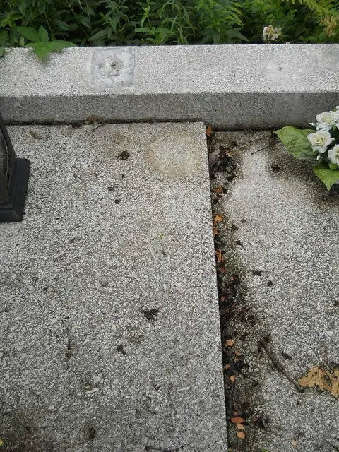 Zdjęcie grobu 5/22738